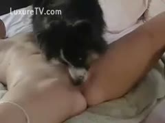 A dog licks a beauty who is tied up.